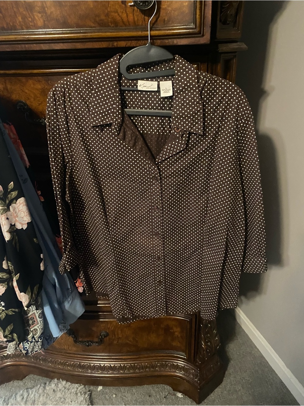 Kim Rodgers brown Polka Dot Button Down blouse